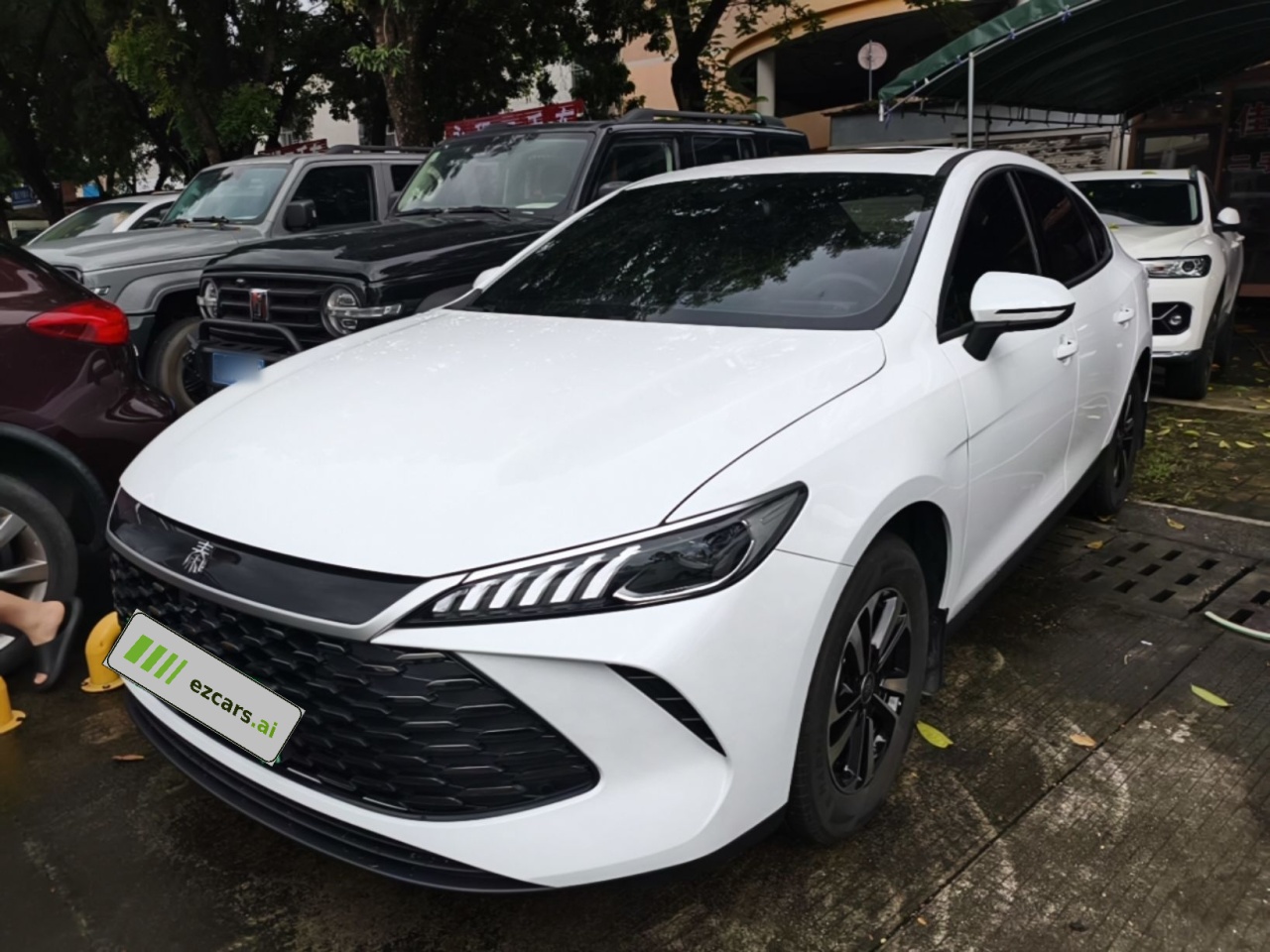 Qin PLUS 2026 DM-i 210KM Progressive