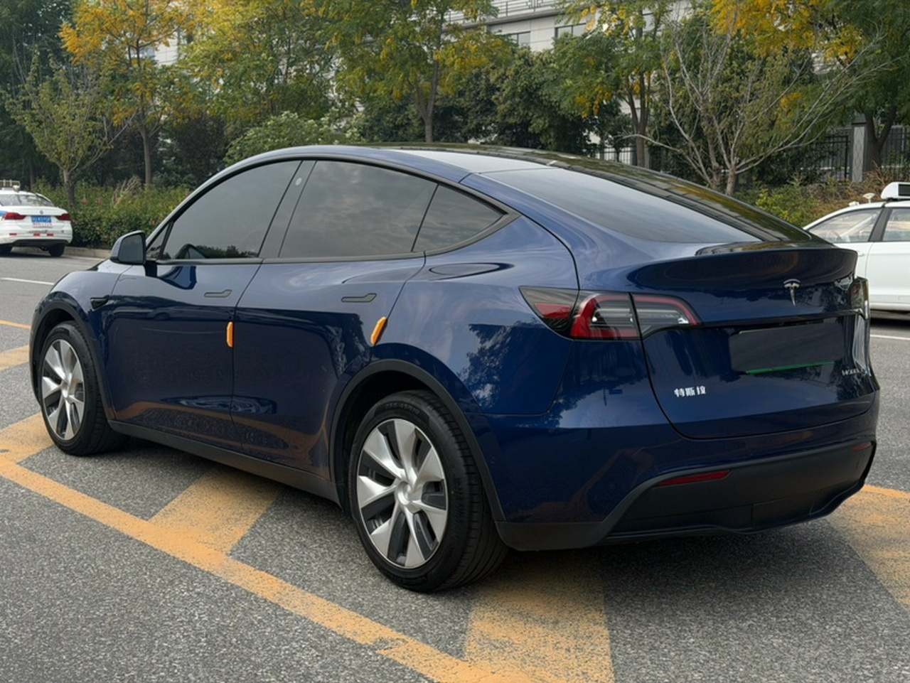 Model Y 2021 Long Range AWD photo 4