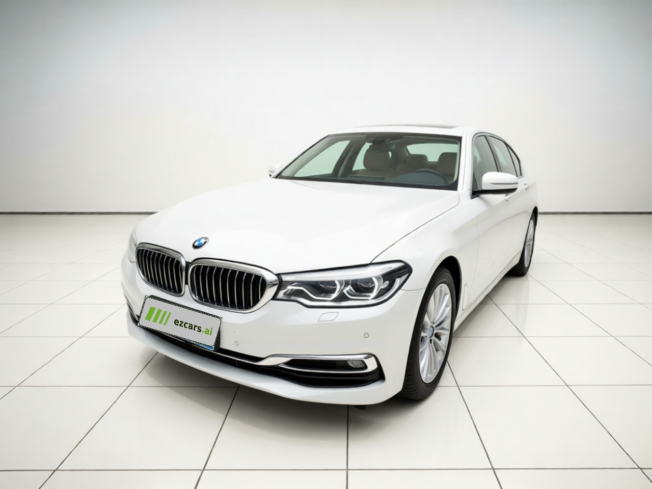 5 Series 2020 530Li Leading Luxury