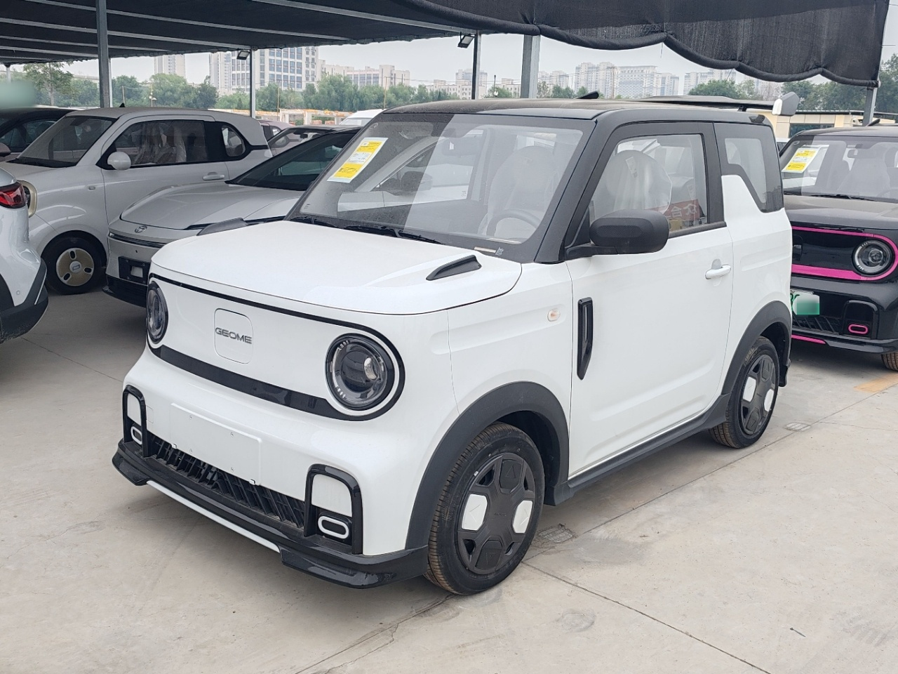 2025 210km Panda