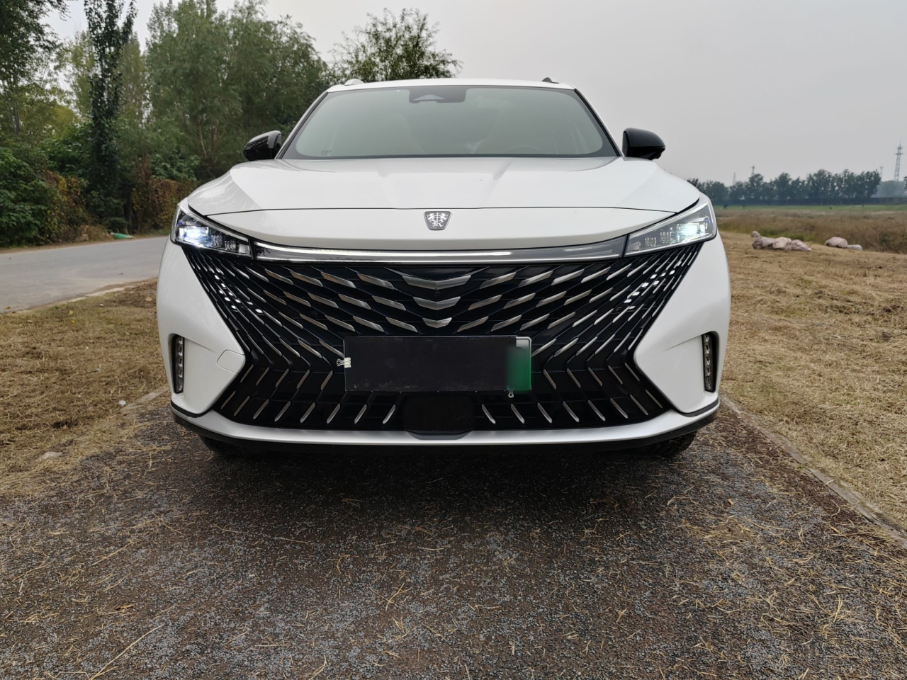 RX5 EV 2023 eRX5 photo 3