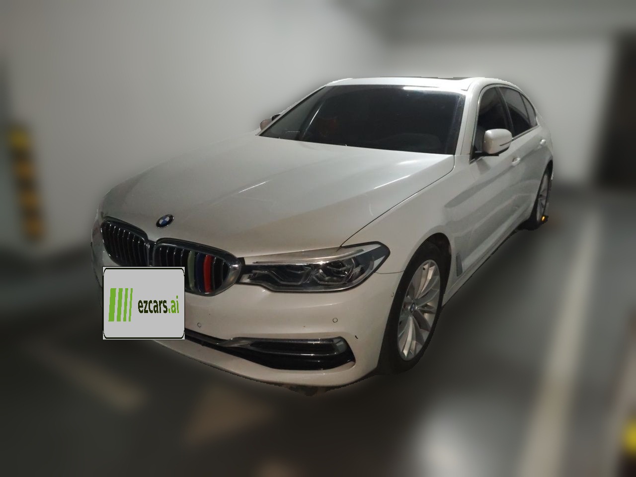 5 Series 2020 530Li Exclusive Luxury
