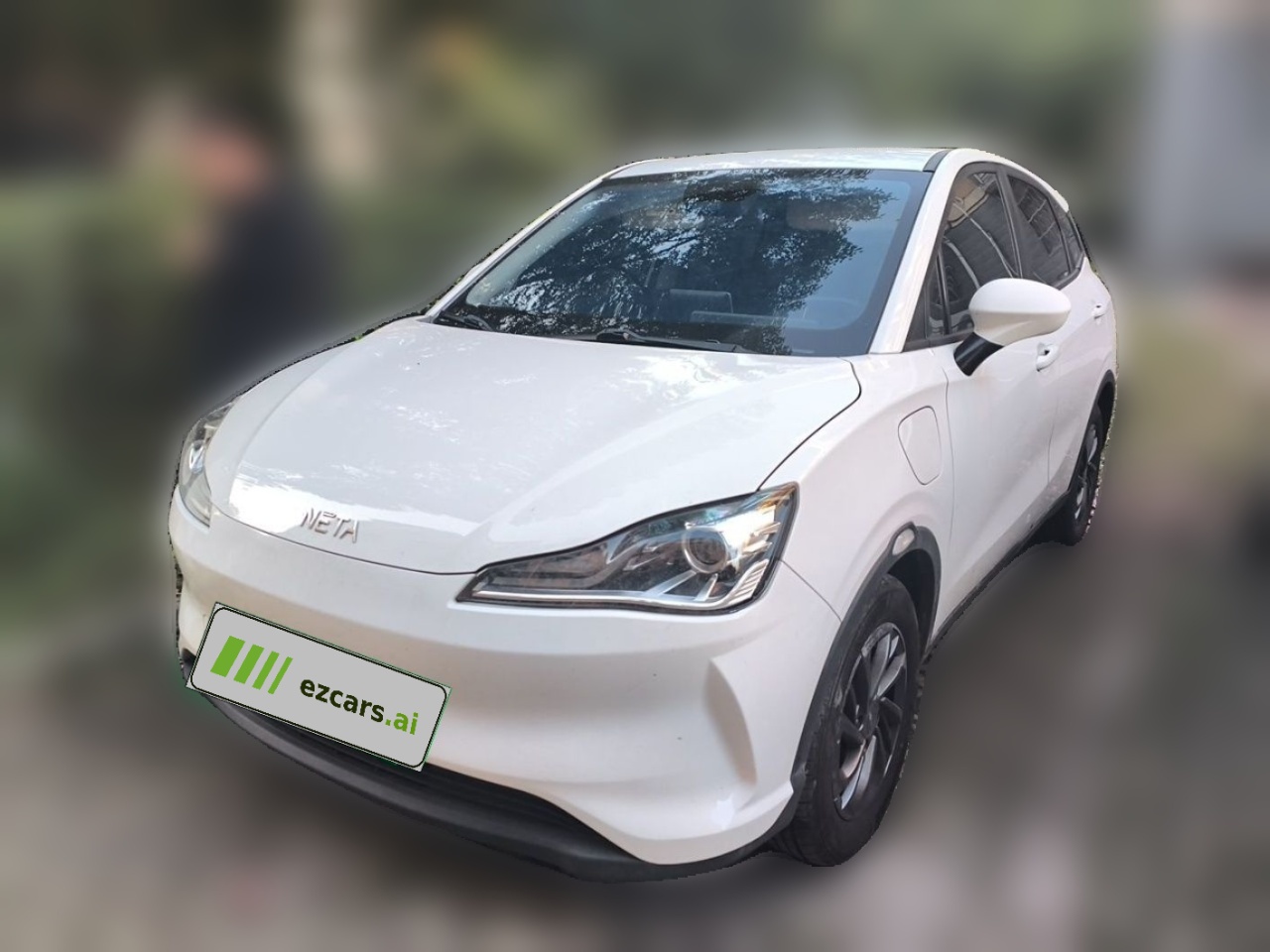 Neta V 2021 Standard Range