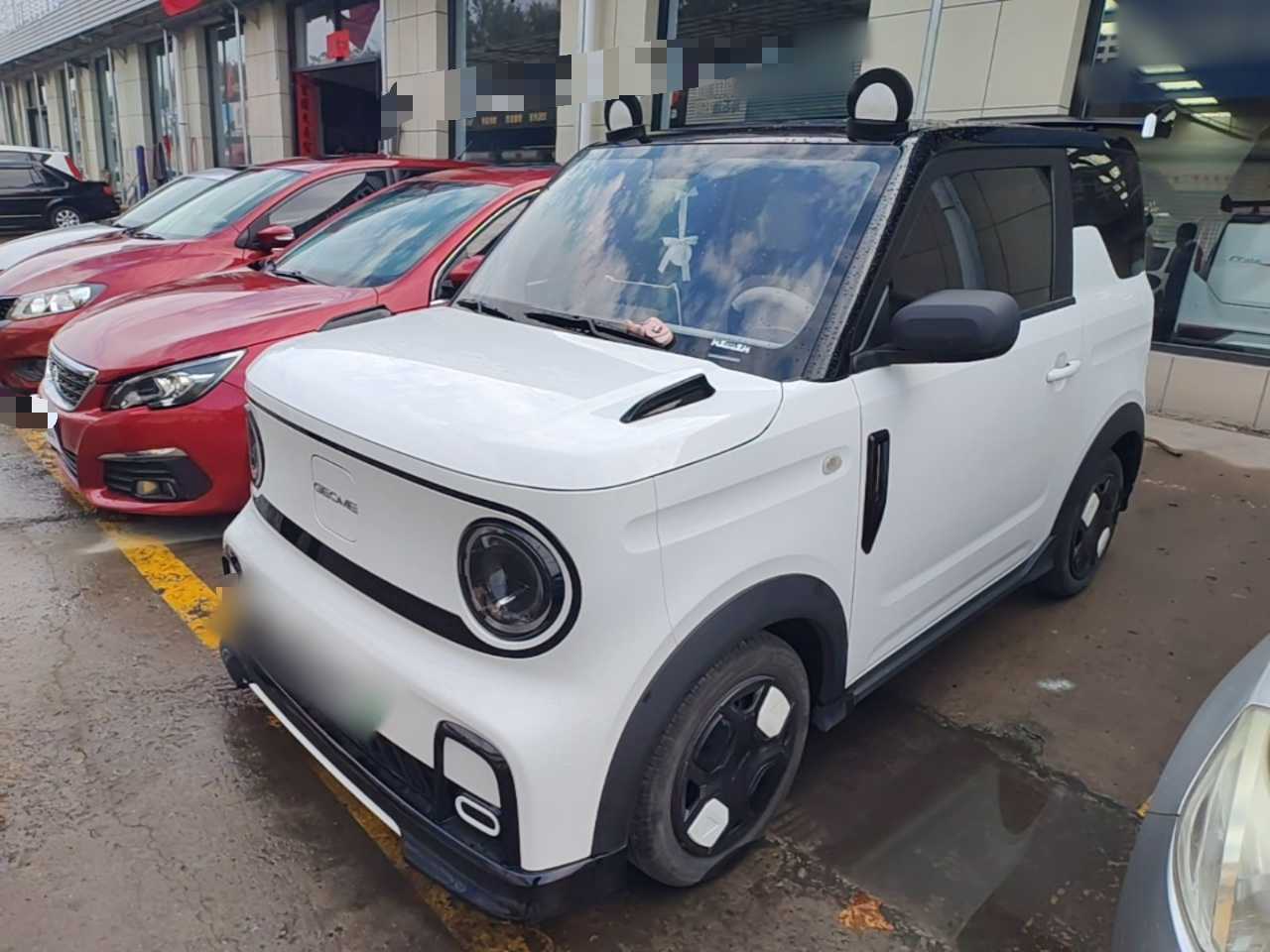 2024 200km Panda