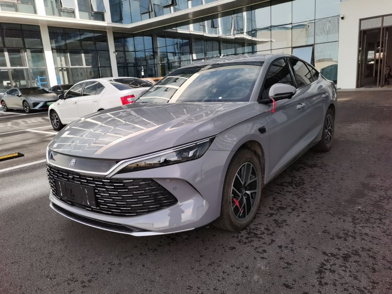 Qin L 2026 DM-i 128KM Leading