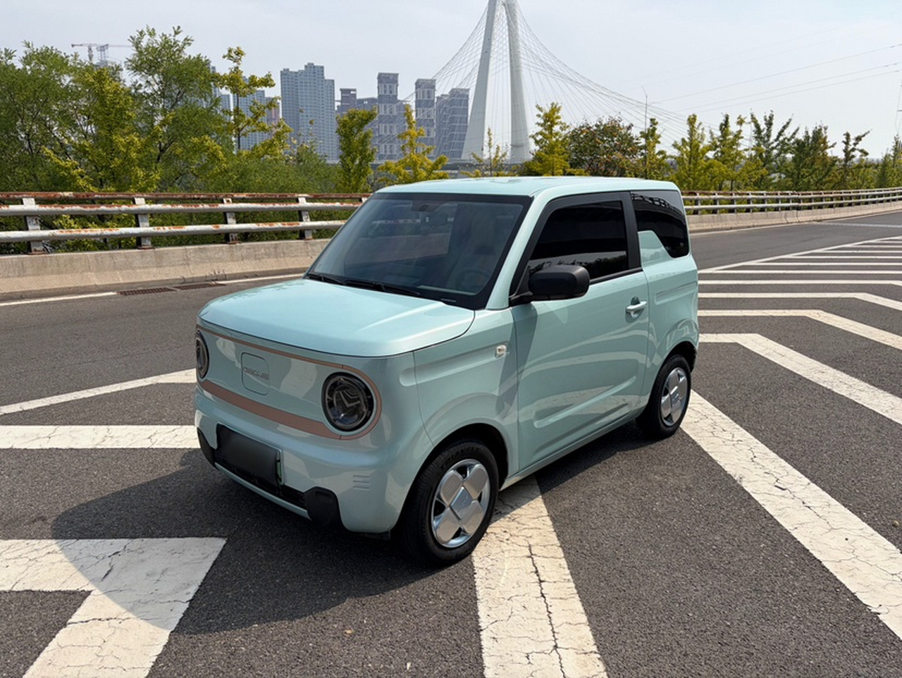 2024 Panda mini 200km Endurance Bear