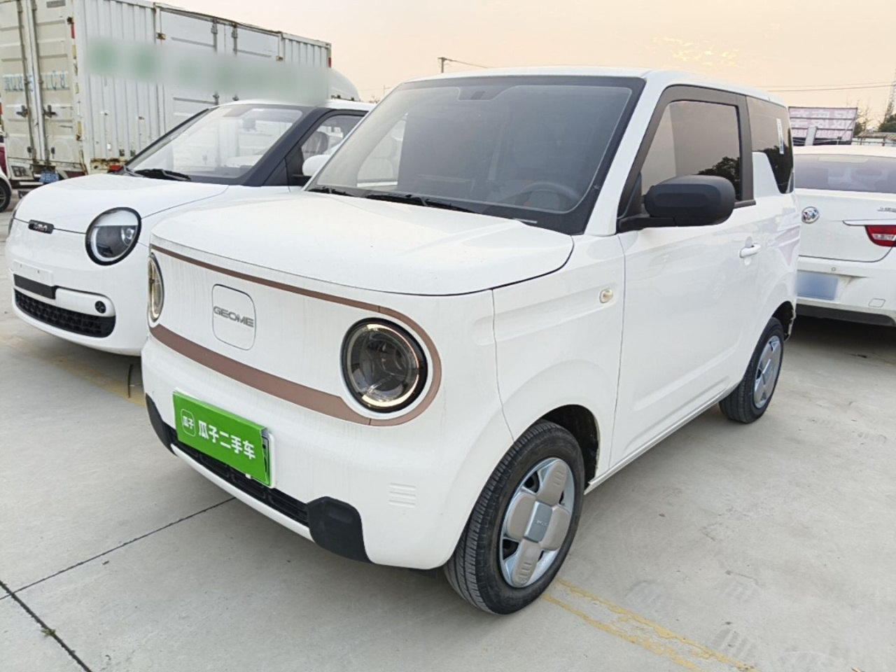 2024 Panda mini 200km Endurance Bear