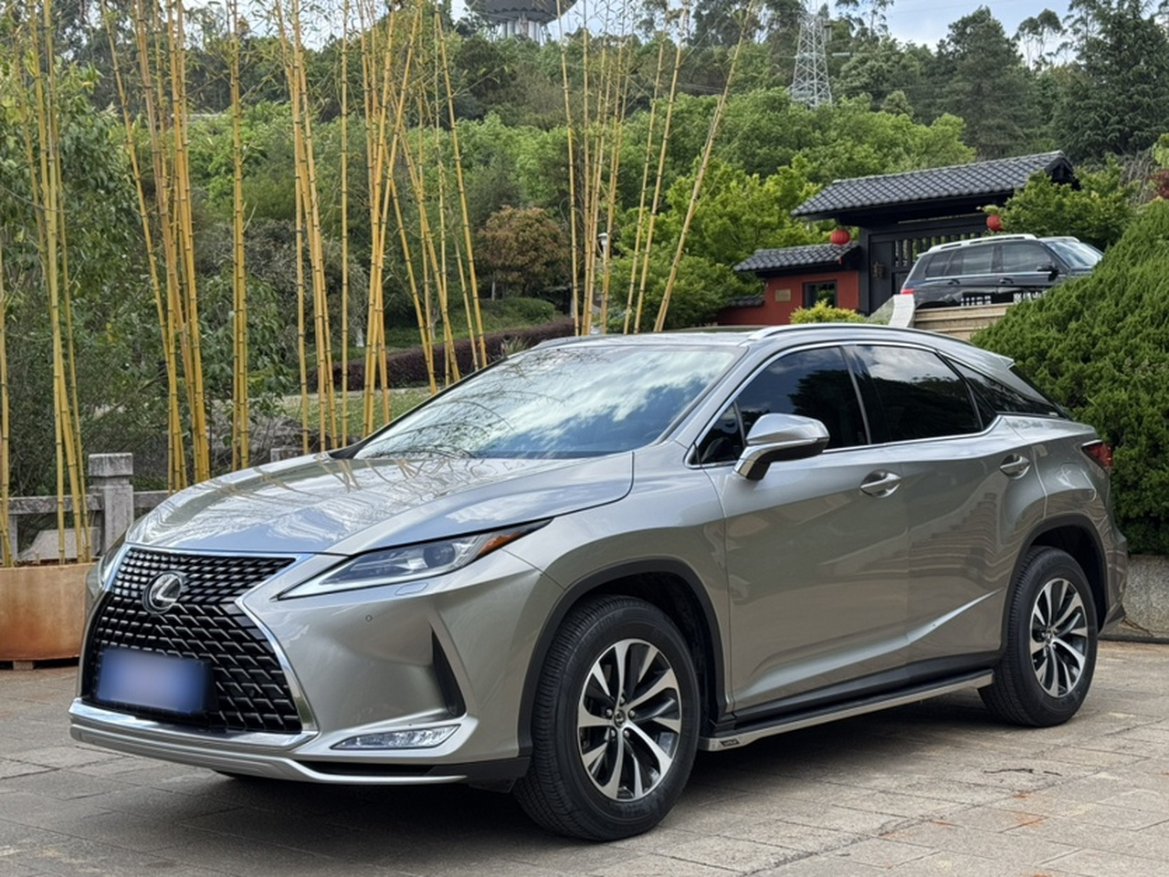 RX 2020 Facelift 300 RWD Elite