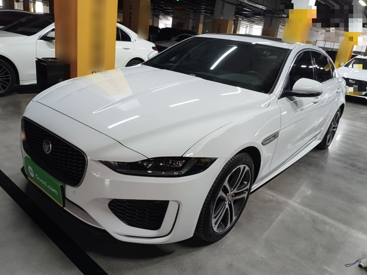 XEL 2024 2.0T 250PS R-DYNAMIC S Progressive Sport