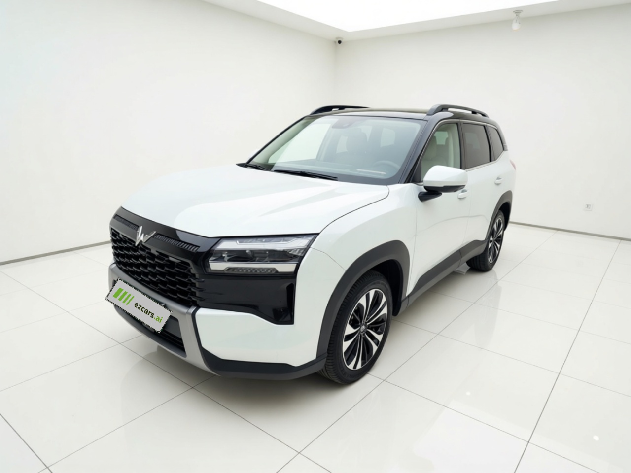 560 EV 2026 125km Luxury