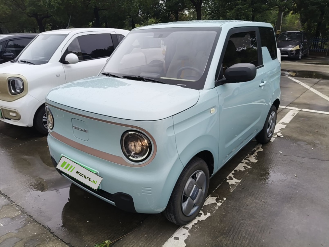2024 Panda mini 200km Endurance Bear
