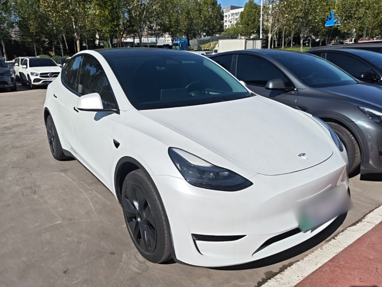 Model Y 2024 RWD photo 5