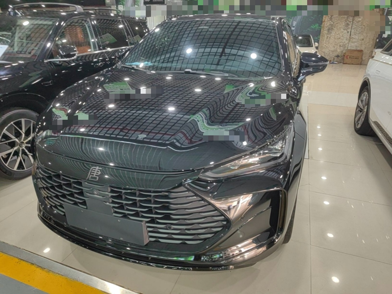 Tang EV 2024 Facelift DM-p