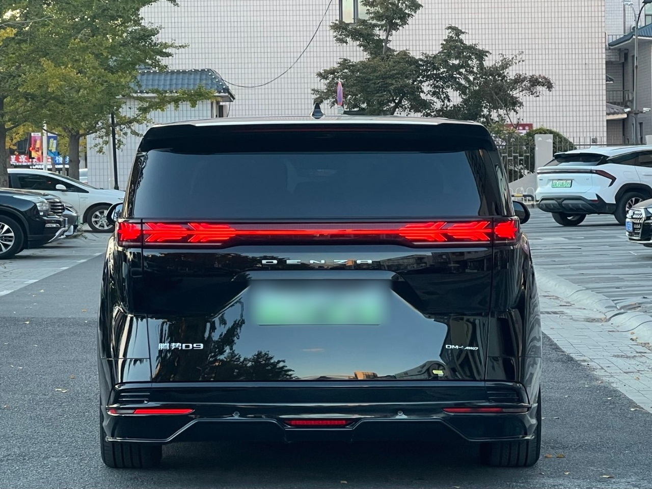 D9 2024 DM-i 980 AWD Noble photo 5
