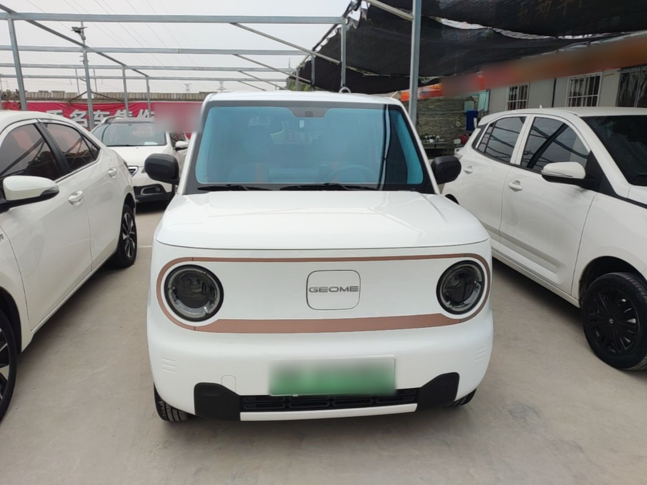 2024 Panda mini 200km Endurance Bear photo 2