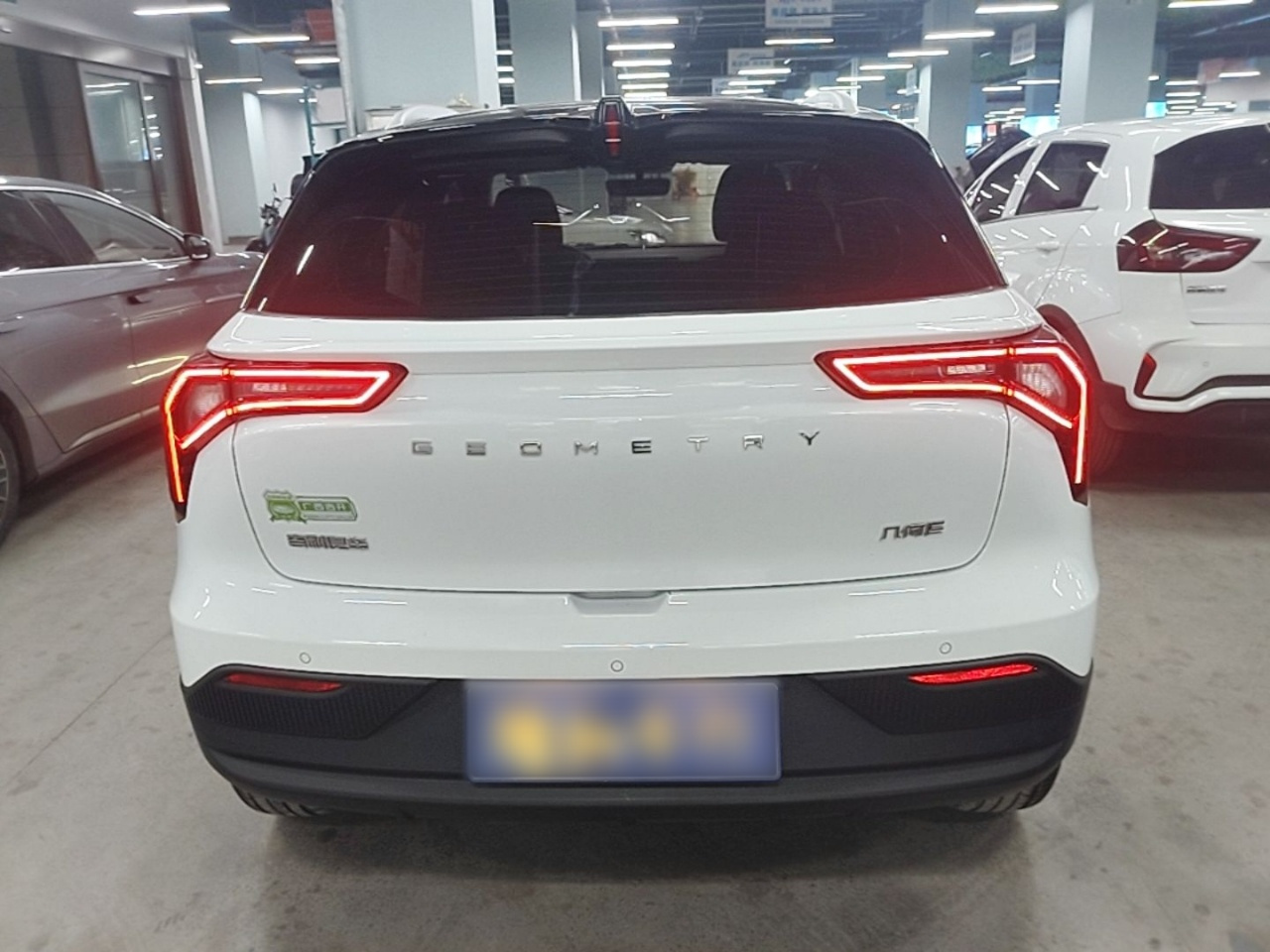 E Firefly 2022 401KM 4-Seater photo 5