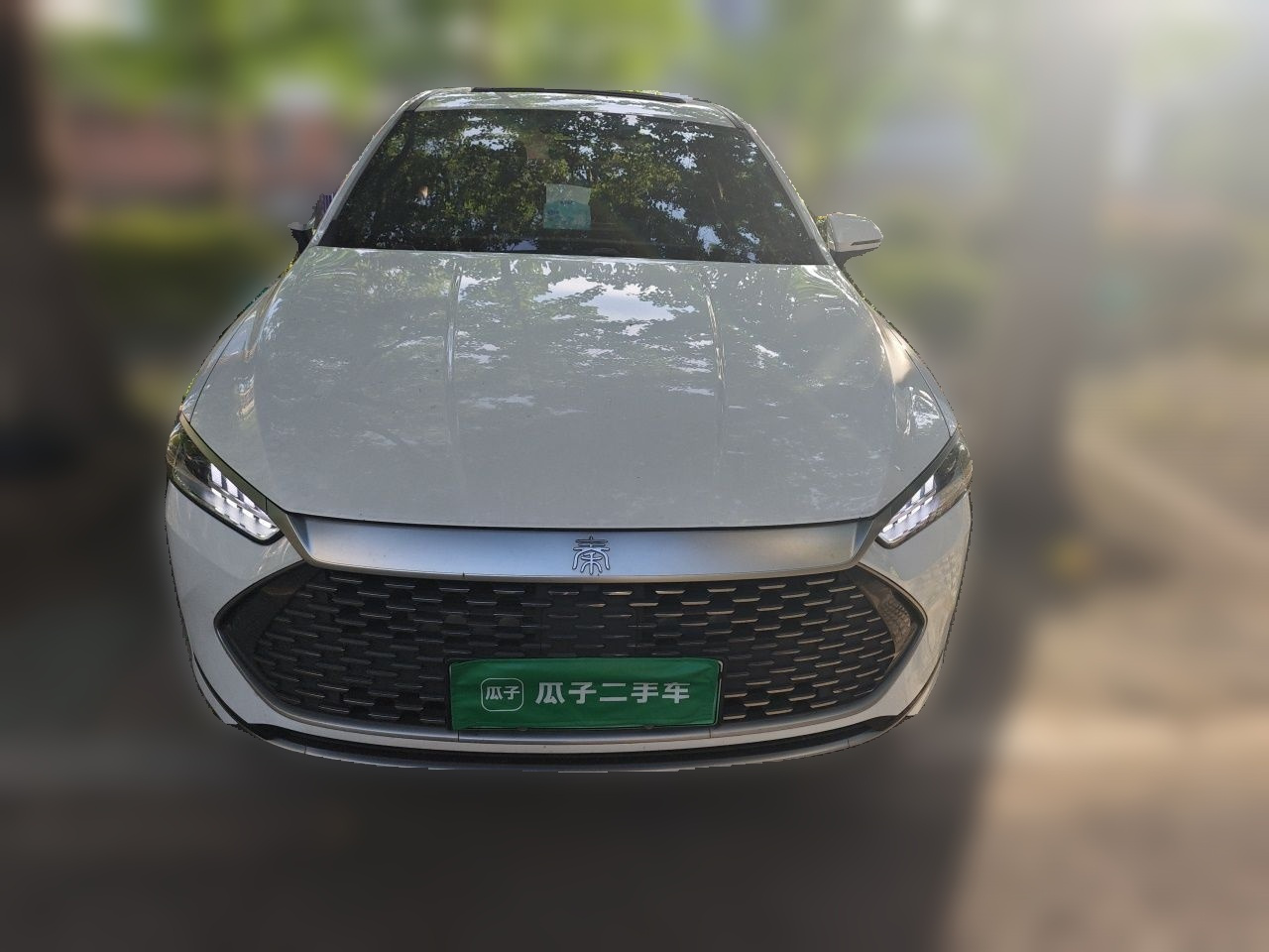 Qin PLUS 2021 DM-i 55KM Flagship photo 2