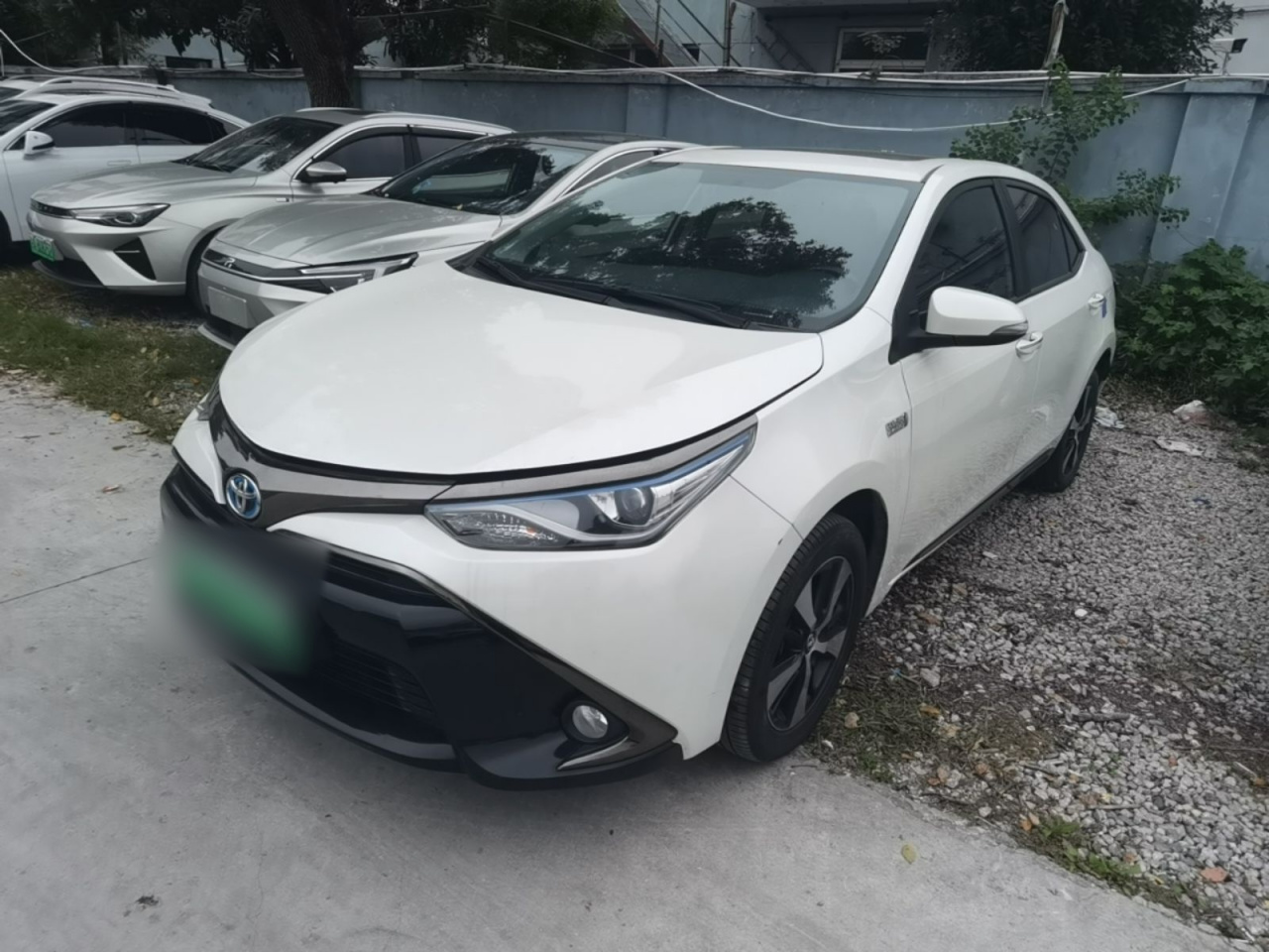 Levin Hybrid E+ 2019 1.8PH V E-CVT Luxury