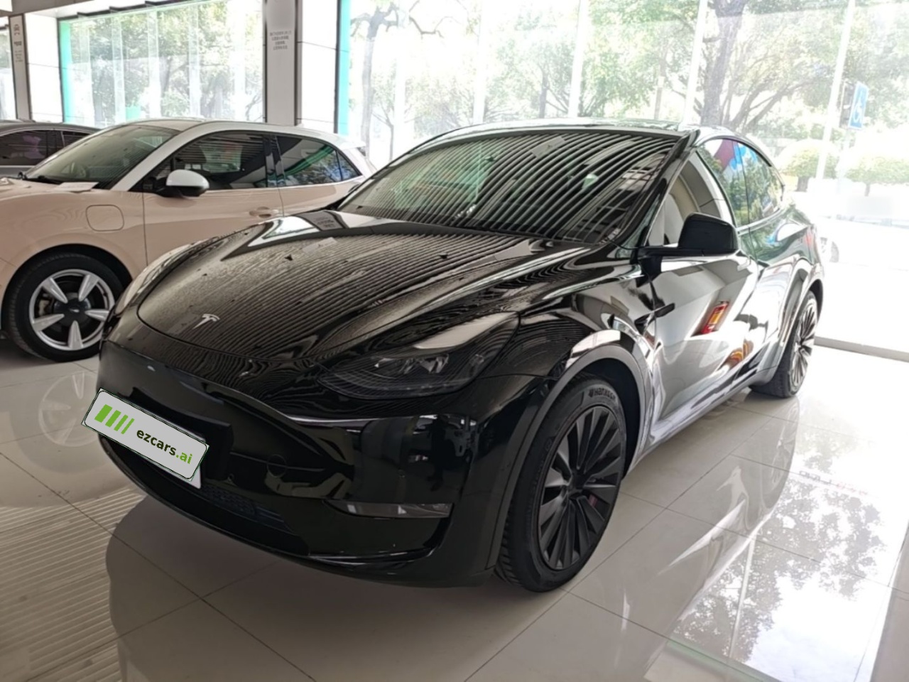 Model Y 2021 Standard Range RWD