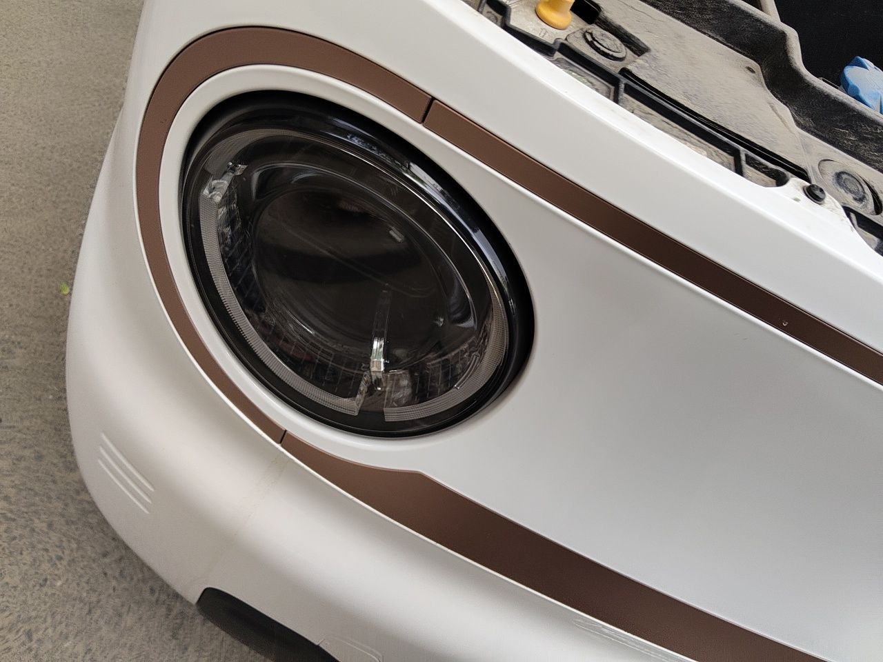 2023 Panda mini 200km Endurance Bear photo 4