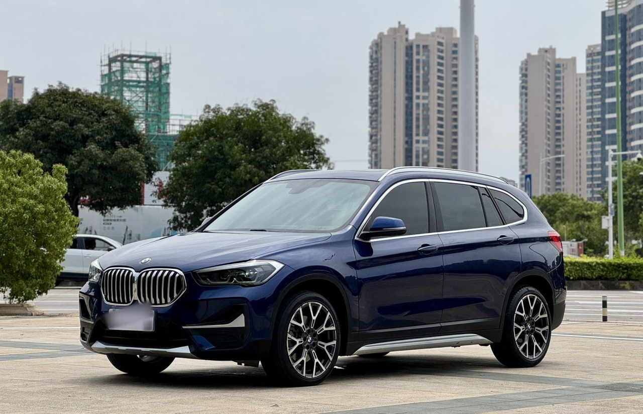 X1 2020 xDrive25Li Exclusive