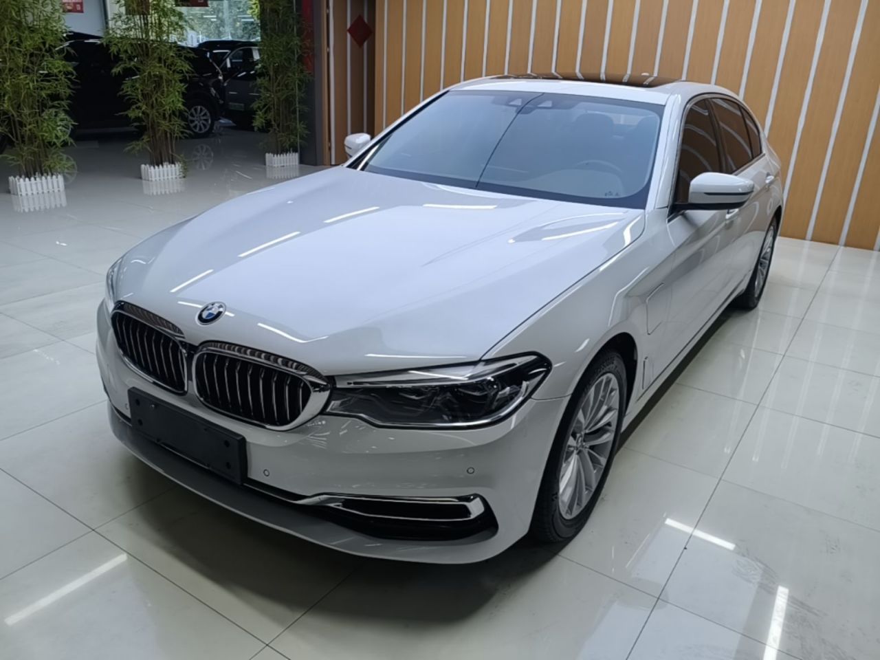 5 Series EV 2020 Upgraded 530Le Luxury