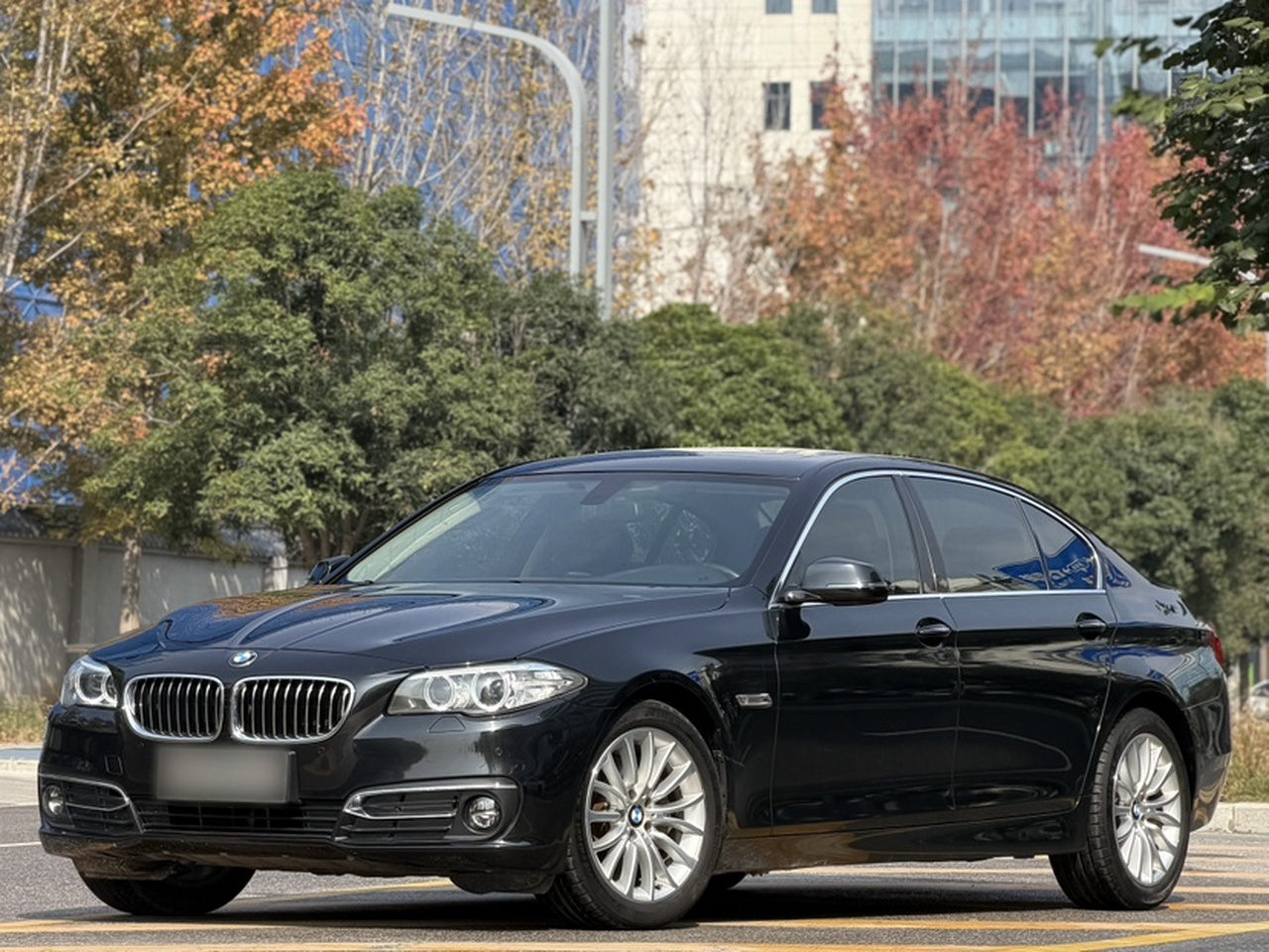 5 Series 2017 525Li Luxury Design Package