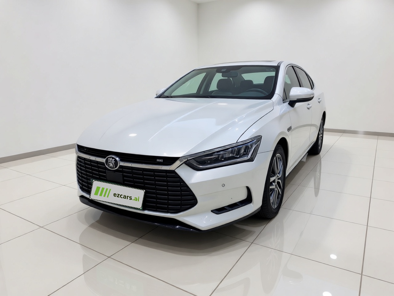 Qin Pro EV 2019 EV Connected
