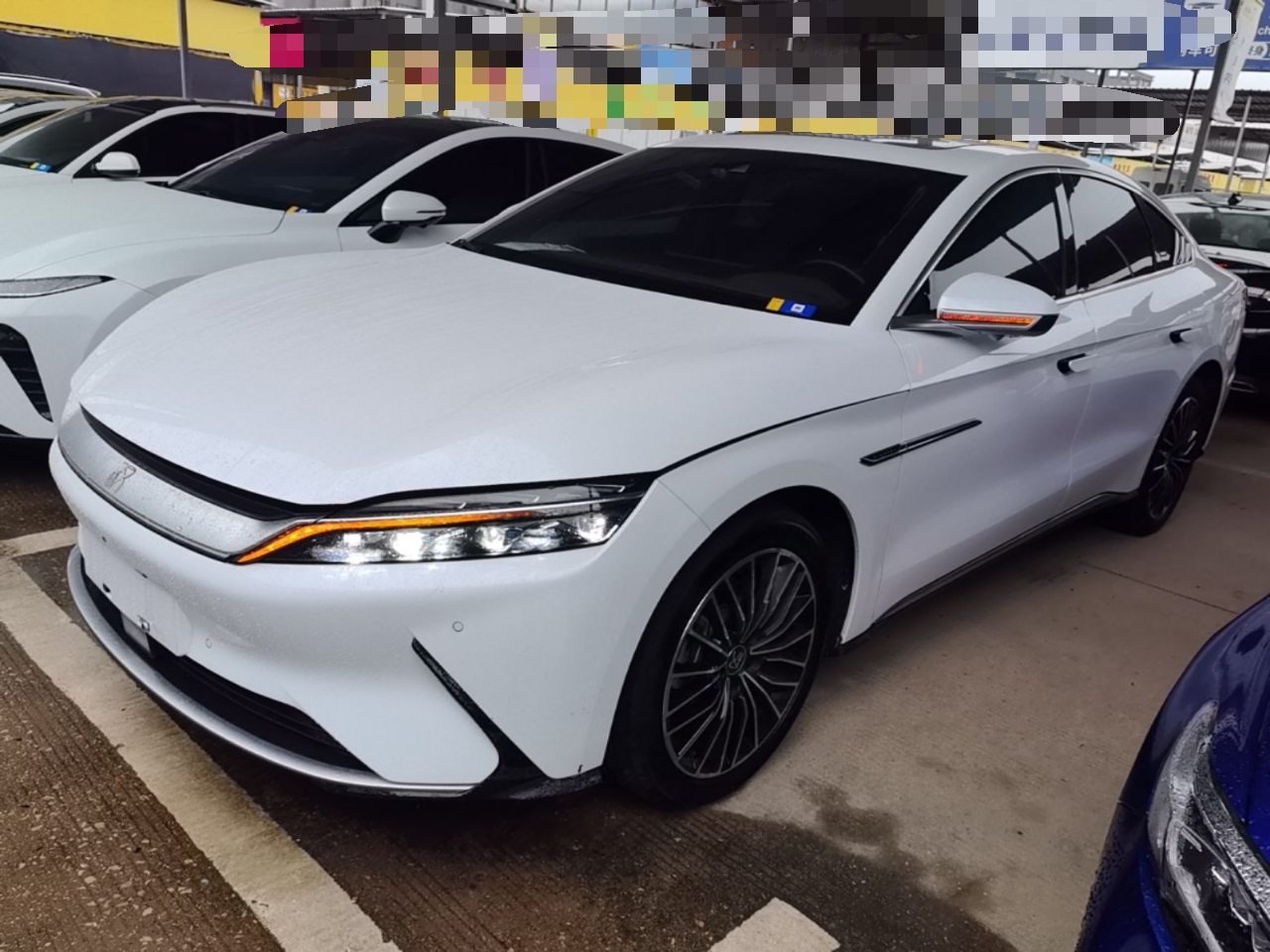 Han 2021 EV Standard Range Luxury