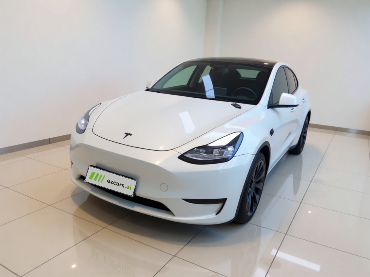 Model Y 2021 Standard Range RWD