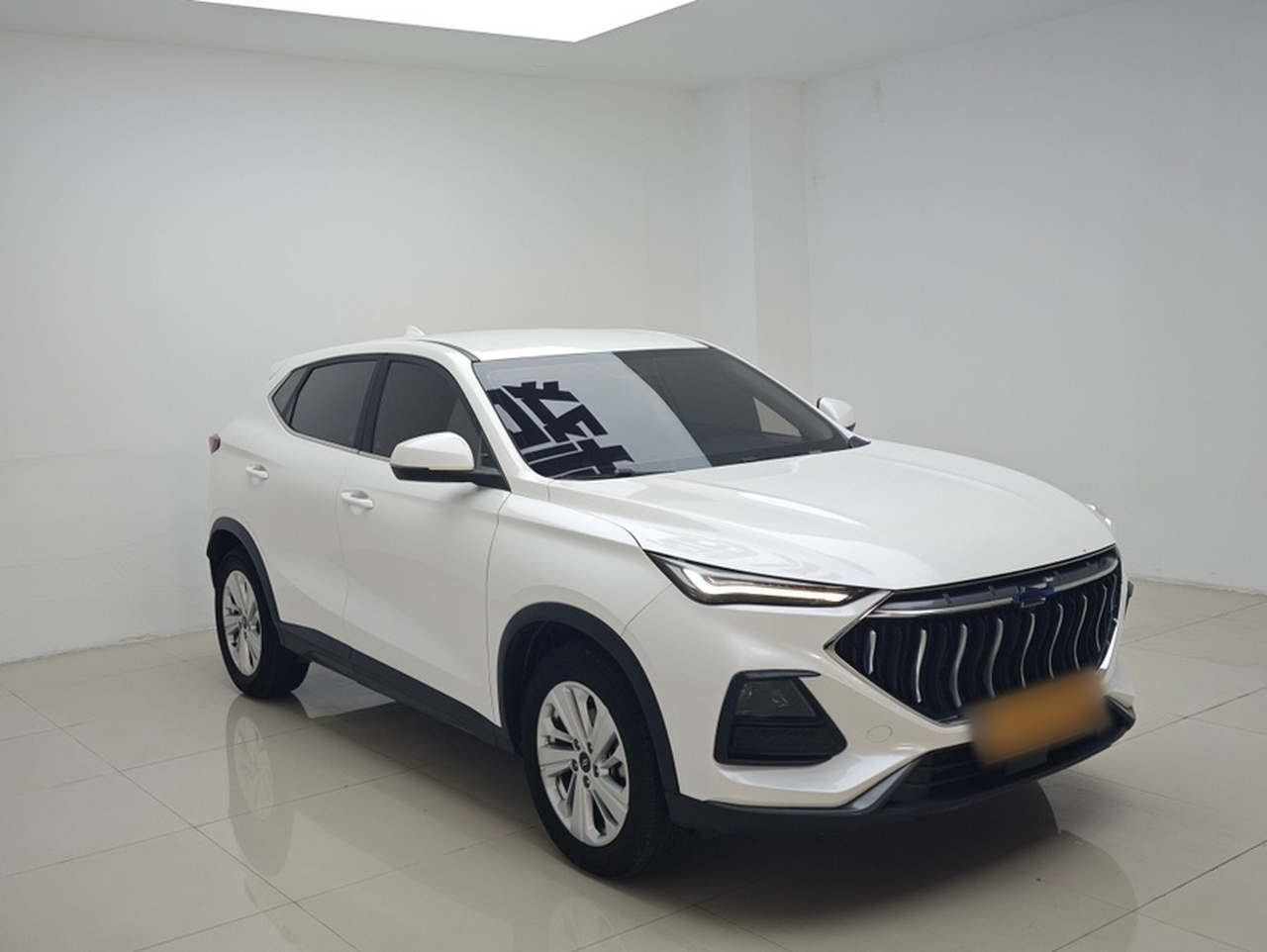 X5 2021 1.6L CVT Luxury photo 4