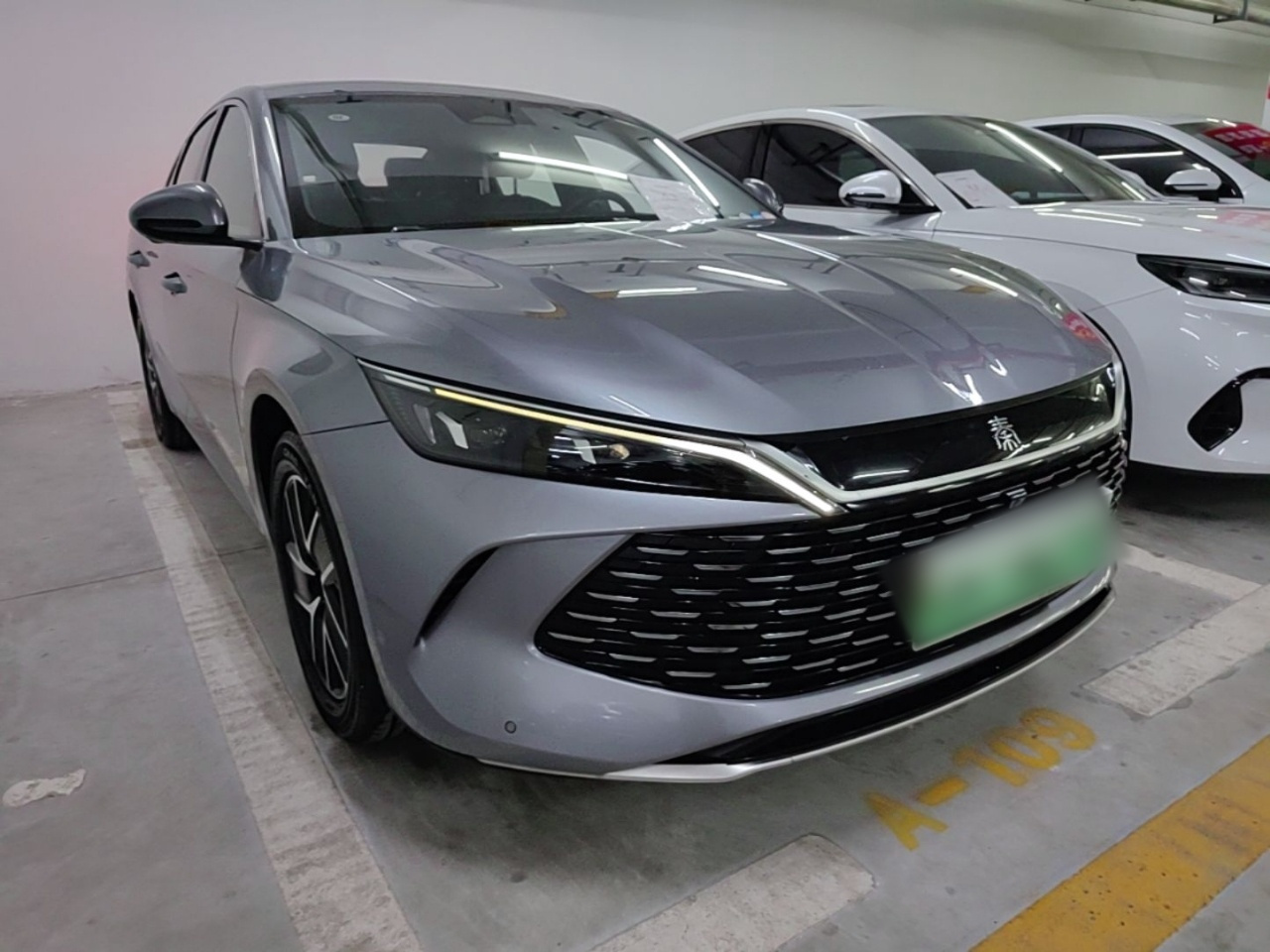 Qin L 2024 DM-i 120KM photo 3