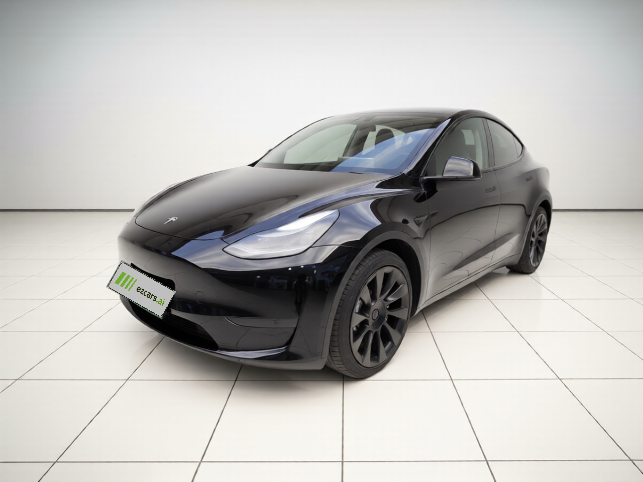 Model Y 2021 Standard Range RWD