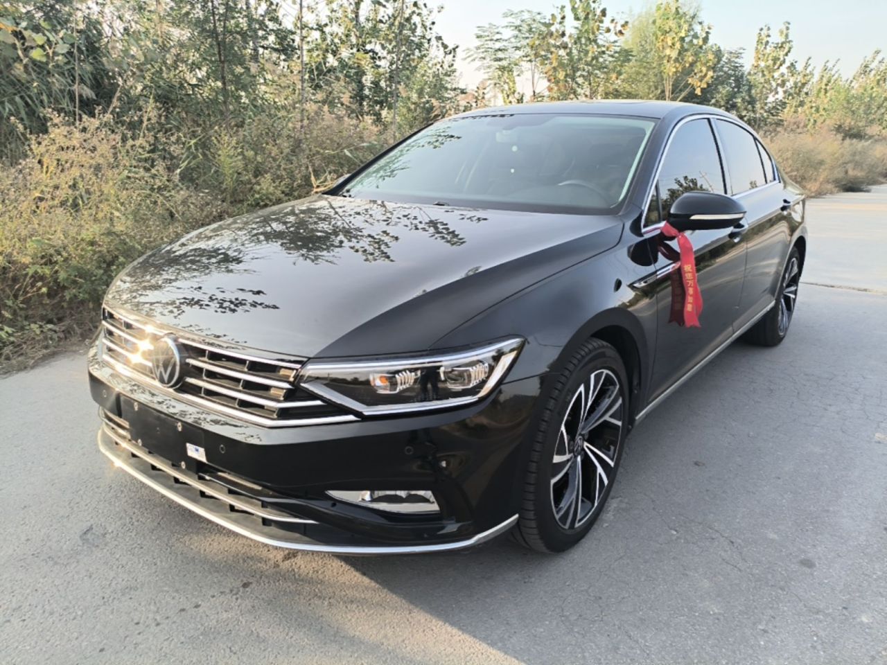 Magotan 2020 330TSI DSG Luxury