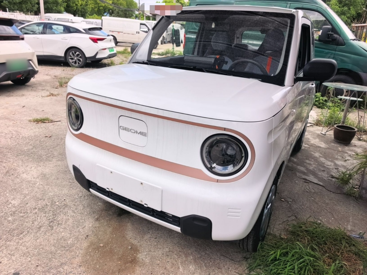 2024 Panda mini 200km Endurance Bear