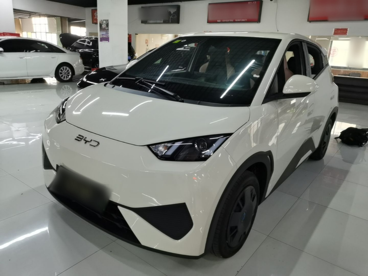 Seagull 2025 ADAS 305km
