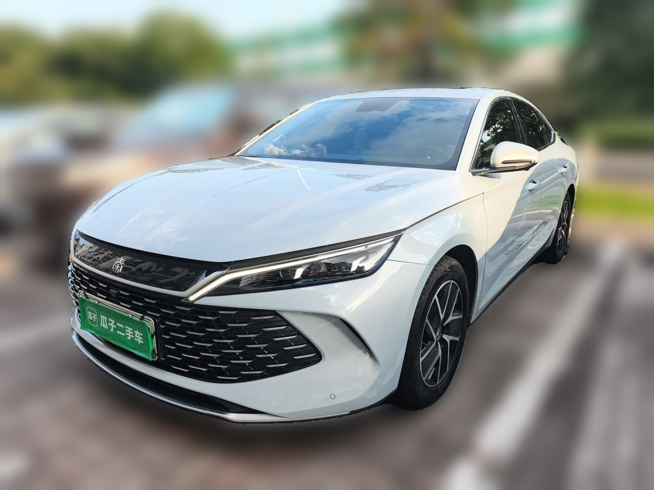 Qin L 2024 DM-i 120KM Leading