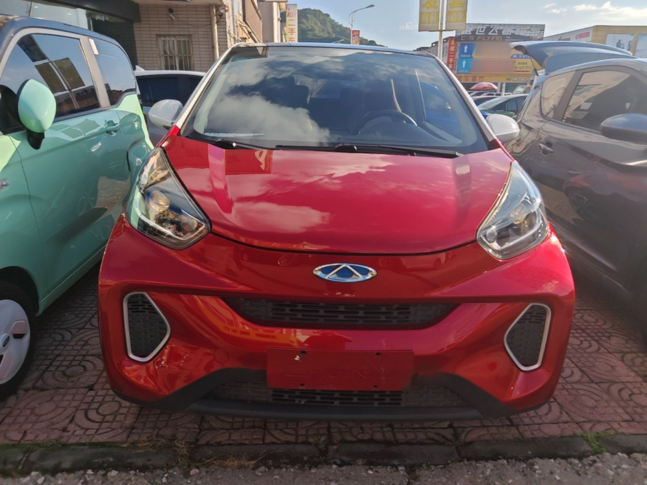 QQ Little Ant 2021 15 LFP photo 2