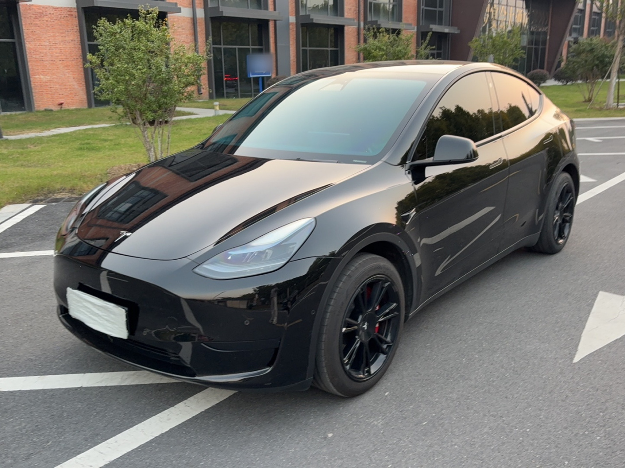 Model Y 2023 RWD