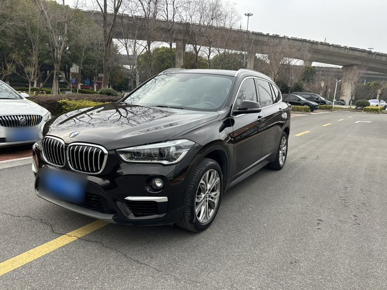 X1 2019 sDrive20Li Leading