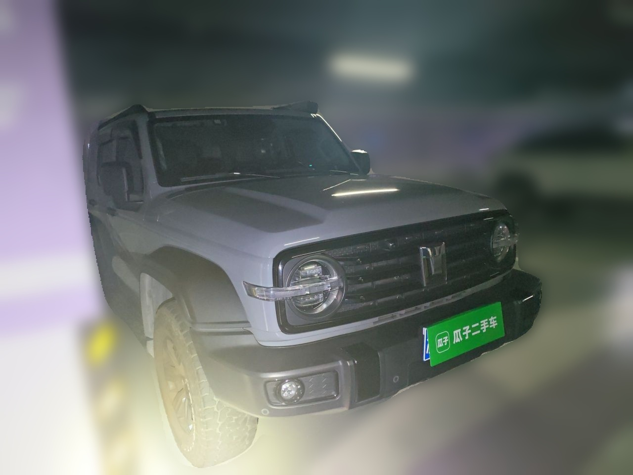 300 2021 Off-road 2.0T Conqueror photo 3