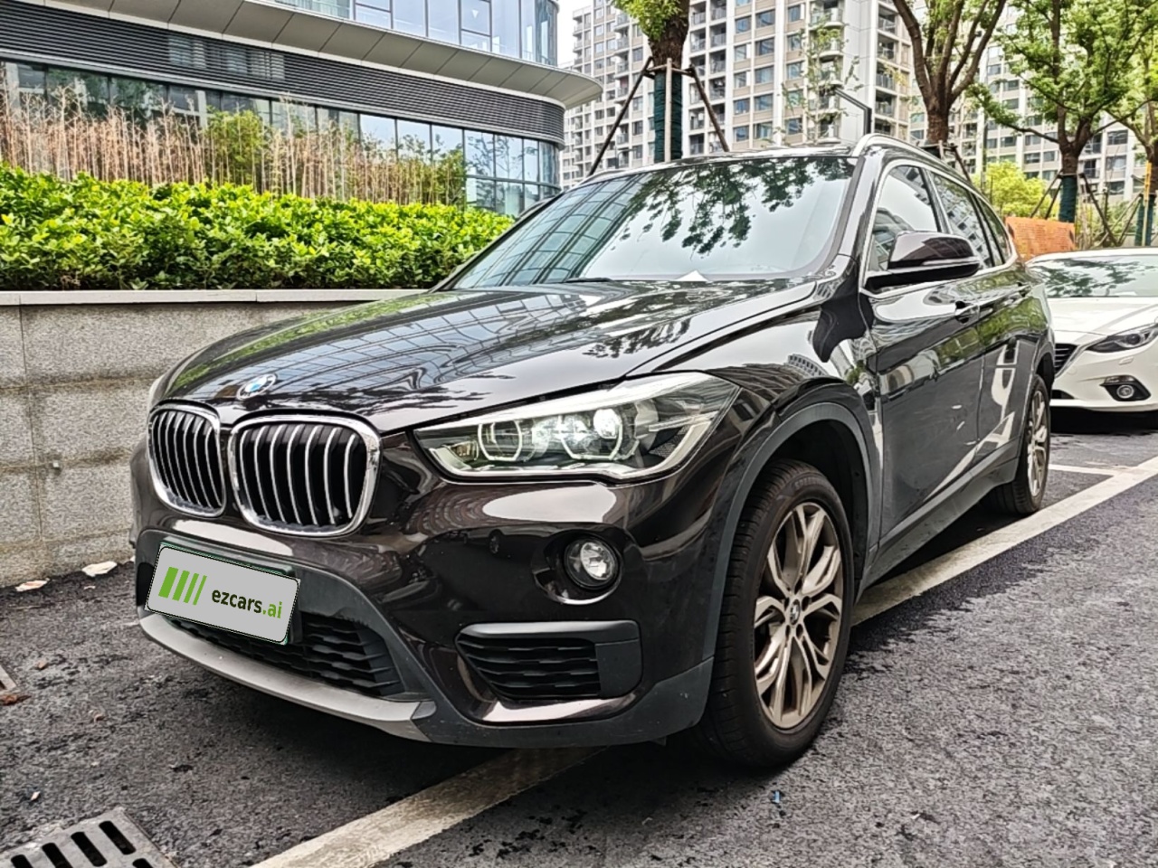 X1 2019 sDrive20Li Leading