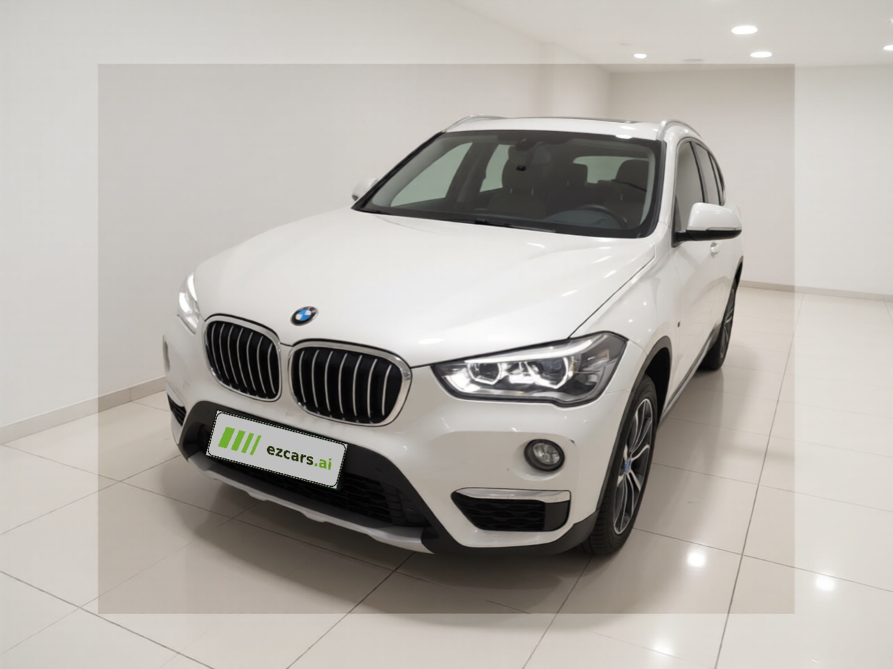 X1 2019 sDrive18Li Exclusive