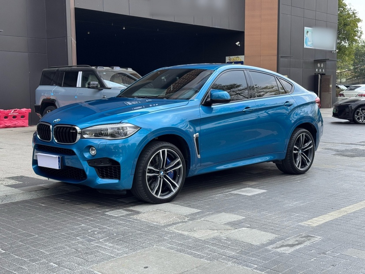 X6 M X6 M