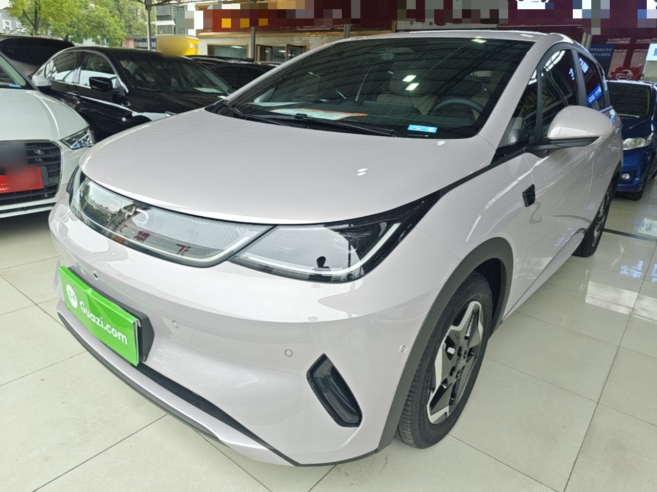 Dolphin 2025 ADAS 420km