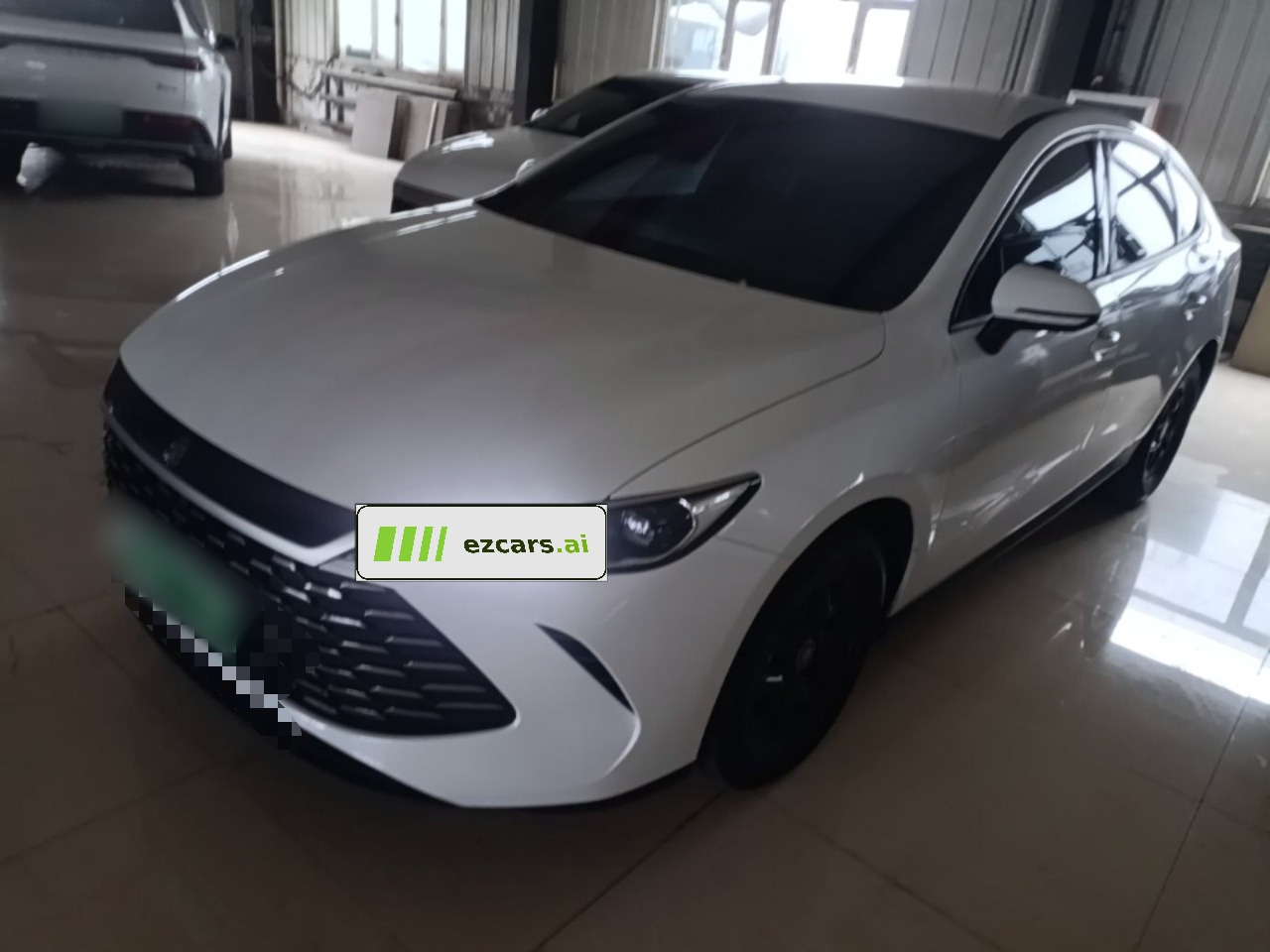 Qin PLUS 2025 DM-i ADAS 55KM Leading
