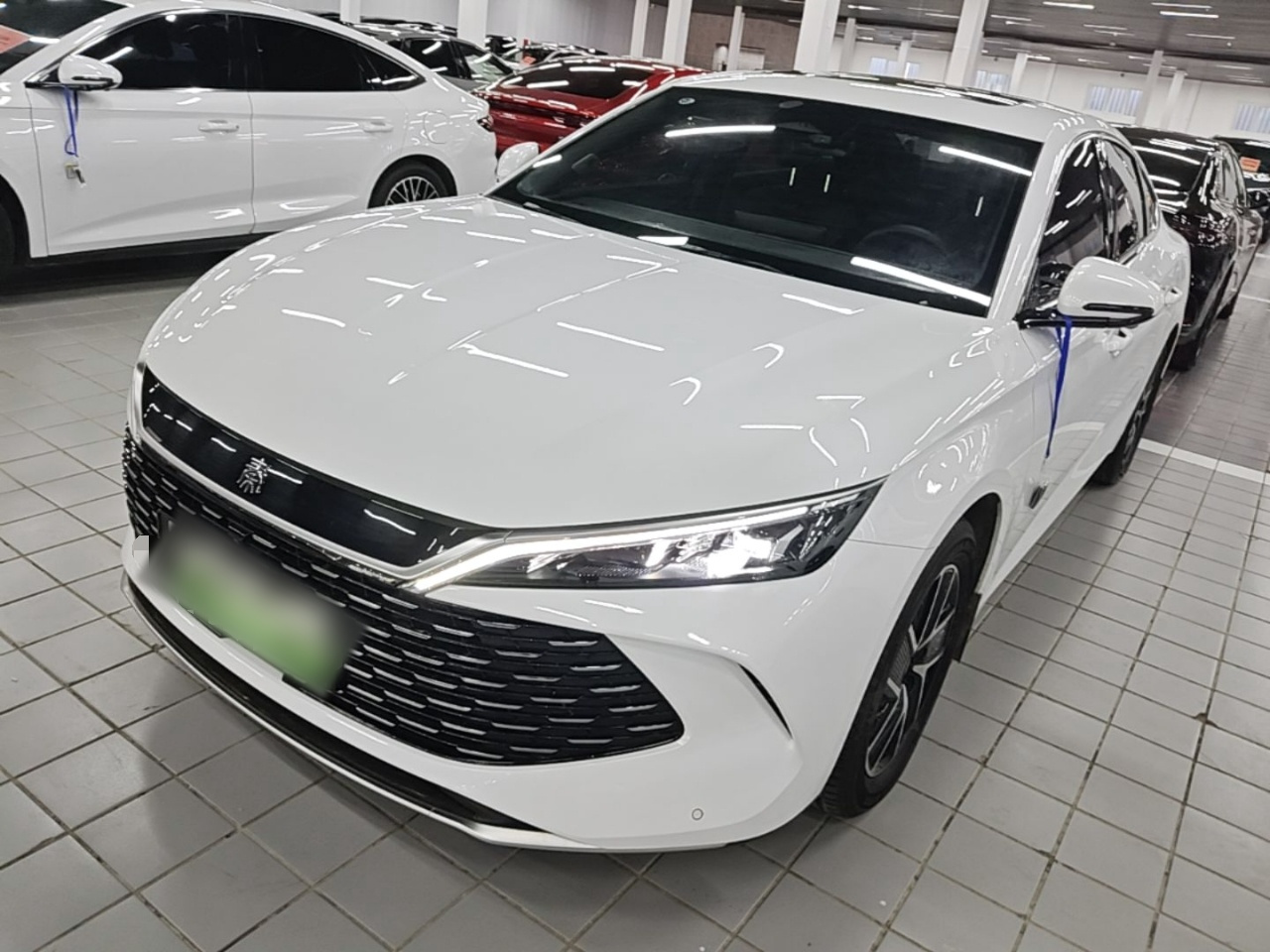 Qin L 2024 DM-i 120KM