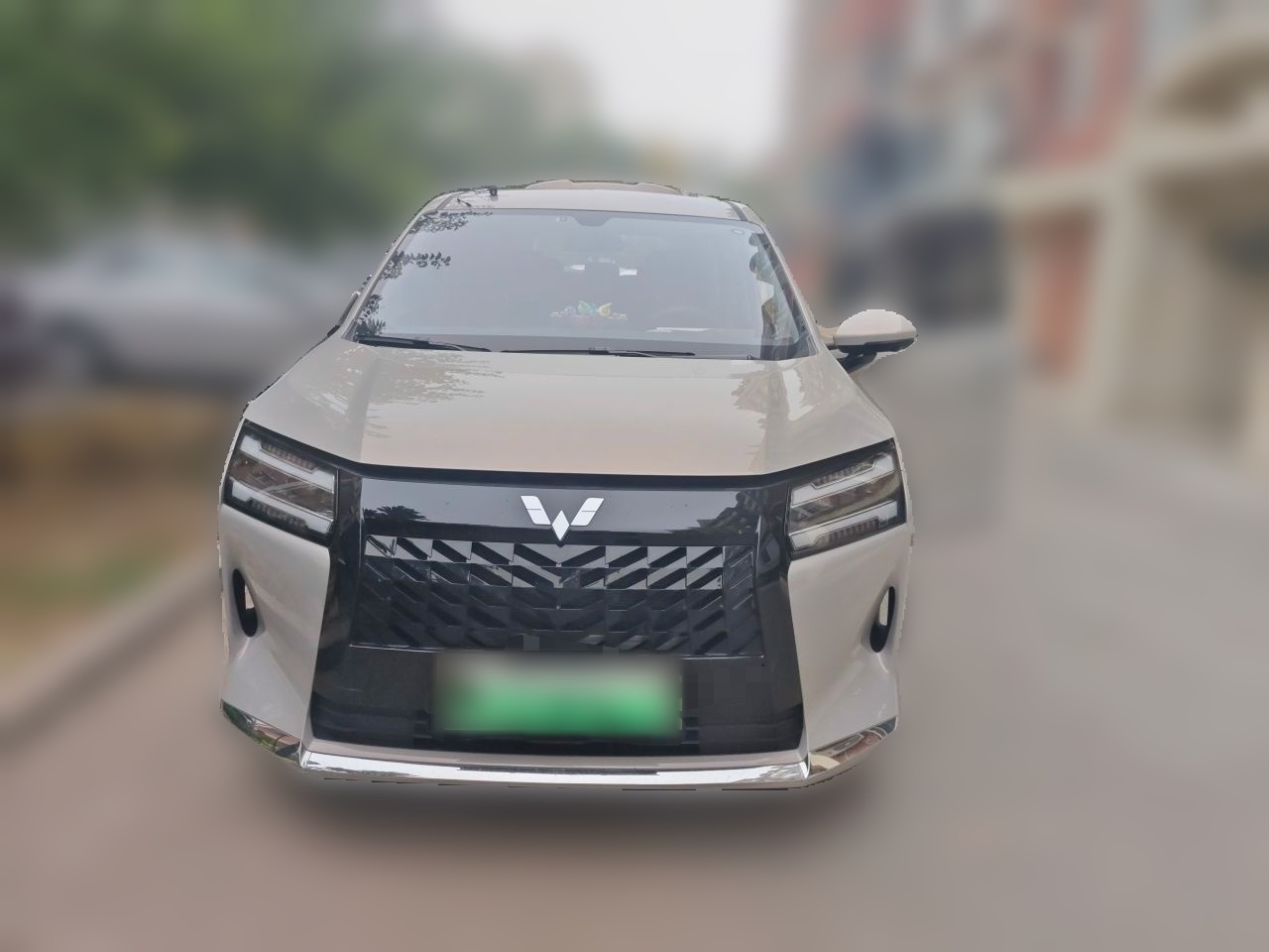 730 EV 2025 125km Luxury photo 2