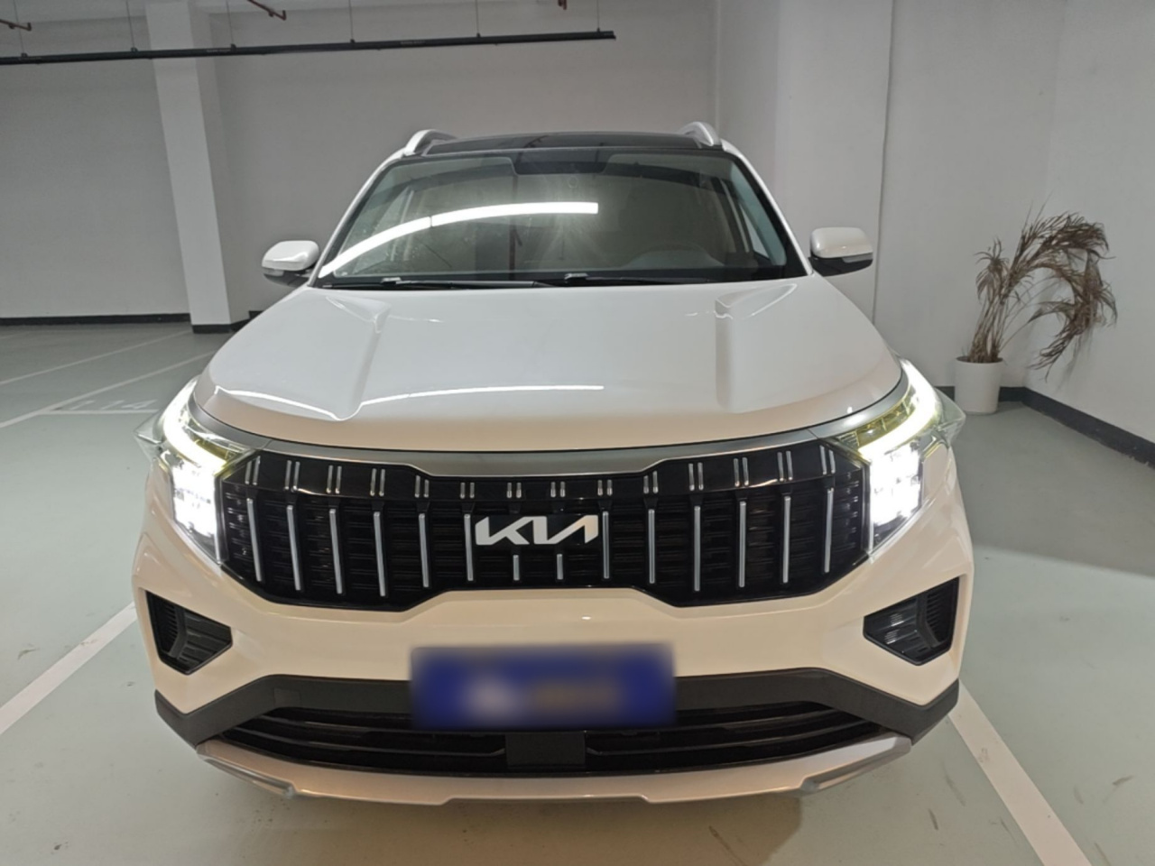 Sportage 2021 Ace 2.0L photo 2