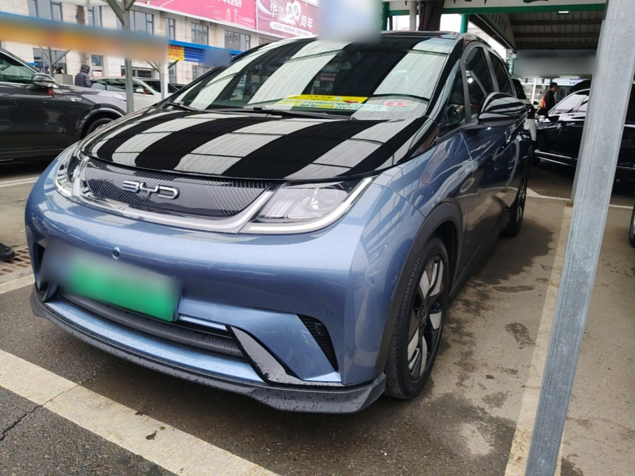 Dolphin 2023 401km